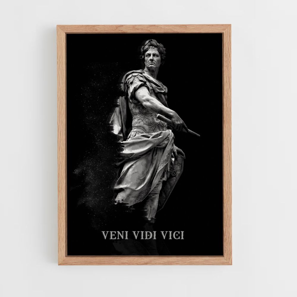 Veni Vidi Vici Poster