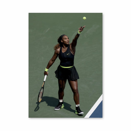 Poster Williams Tennisball