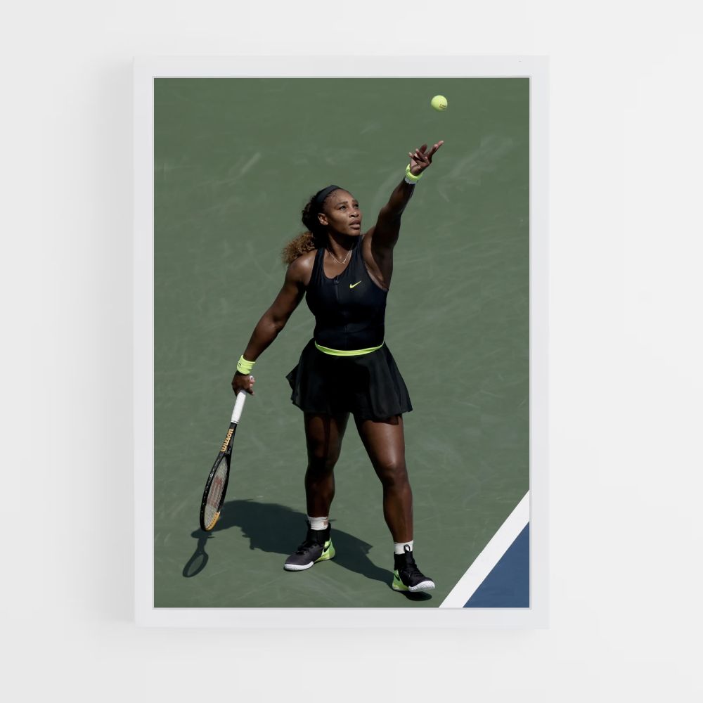 Poster Williams Tennisball