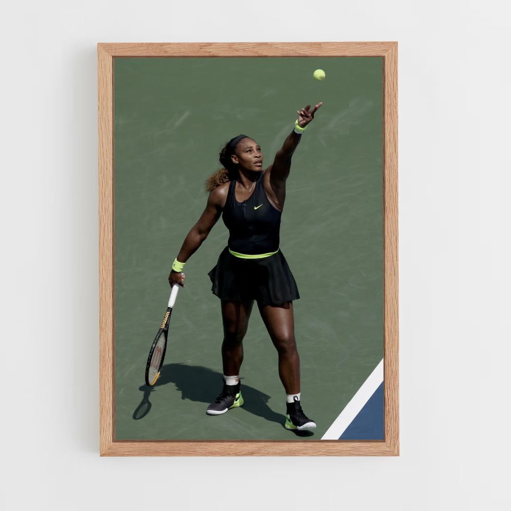 Poster Williams Tennisball