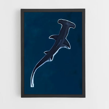 shark-7 cadre Noir