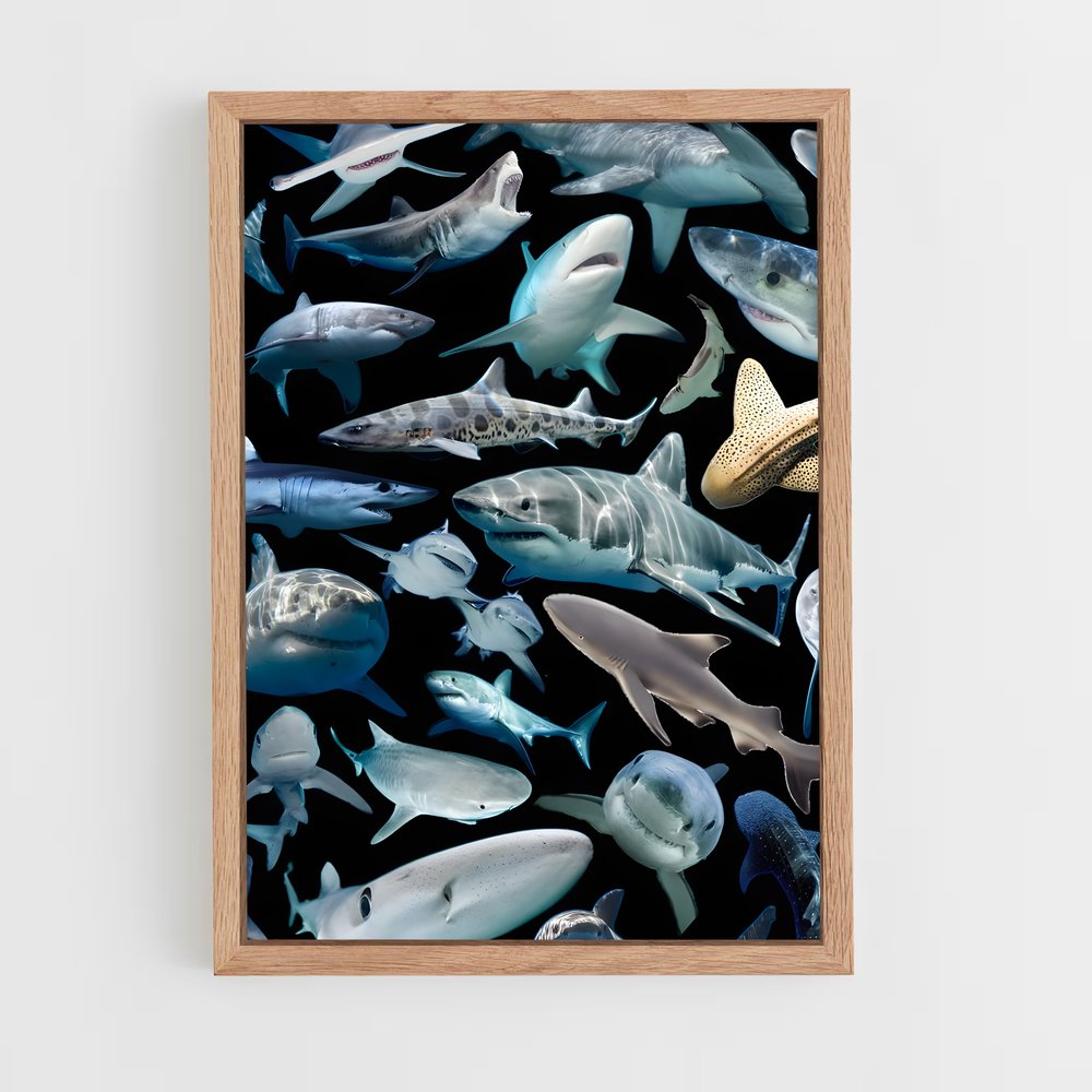 shark-8 cadre Bois clair