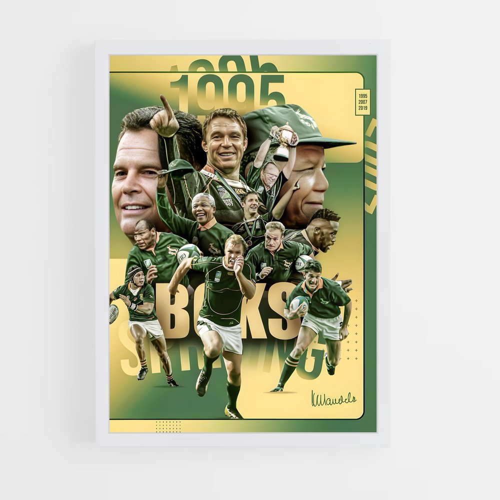 springboks-3 cadre Blanc