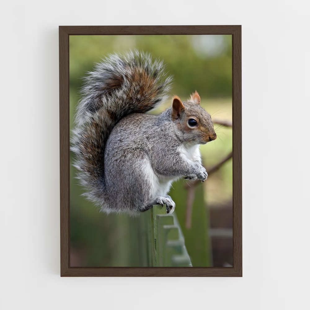 squirrel-3 cadre Bois foncé