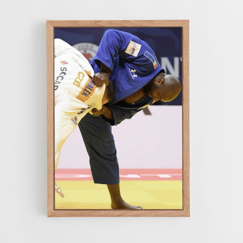 Poster Teddy Riner Judo