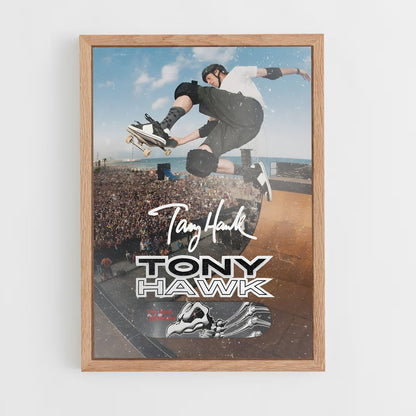 tony-hawk-4 cadre Bois clair