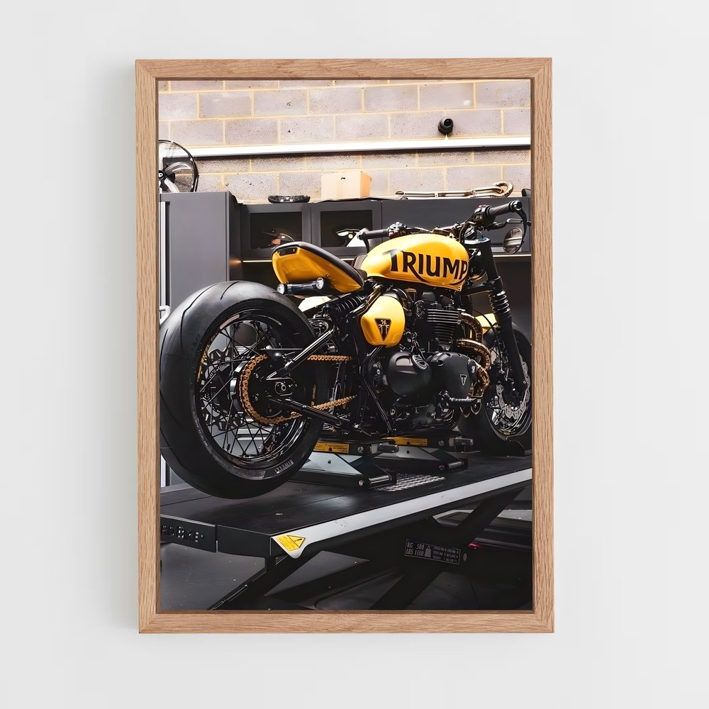 triumph-6 cadre Bois clair