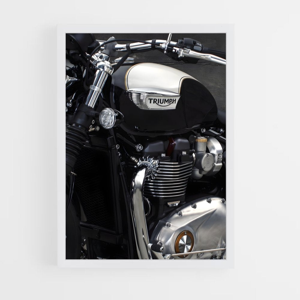 triumph-7 cadre Blanc