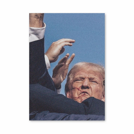 Poster Trump Sieg