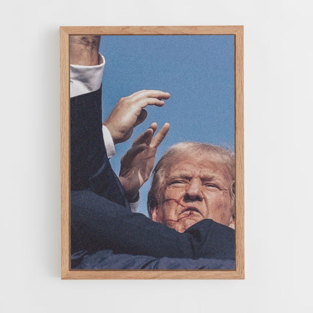 Poster Trump Sieg