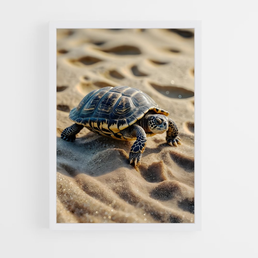 turtle-2 cadre Blanc