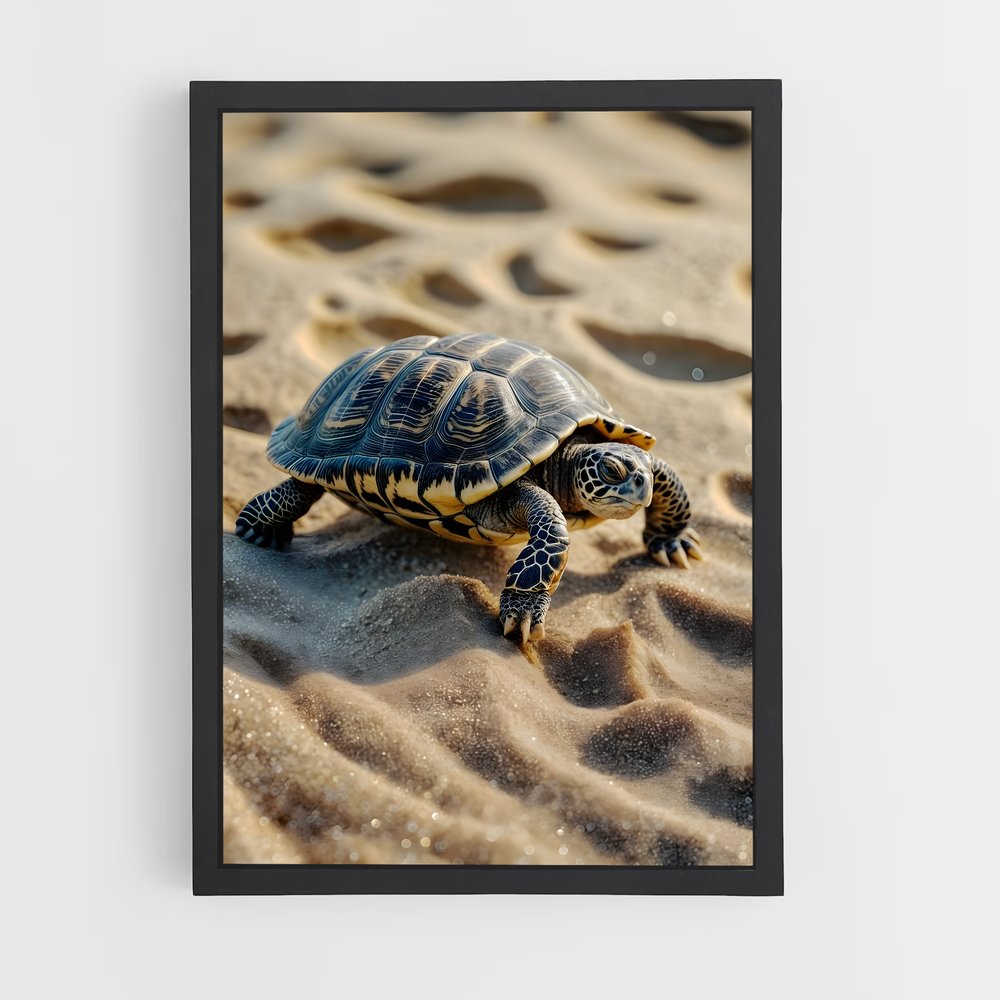 turtle-2 cadre Noir