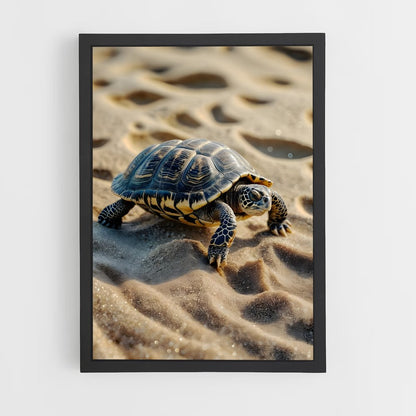turtle-2 cadre Noir