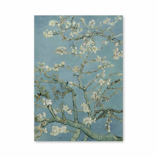 Poster Amandier en Fleur