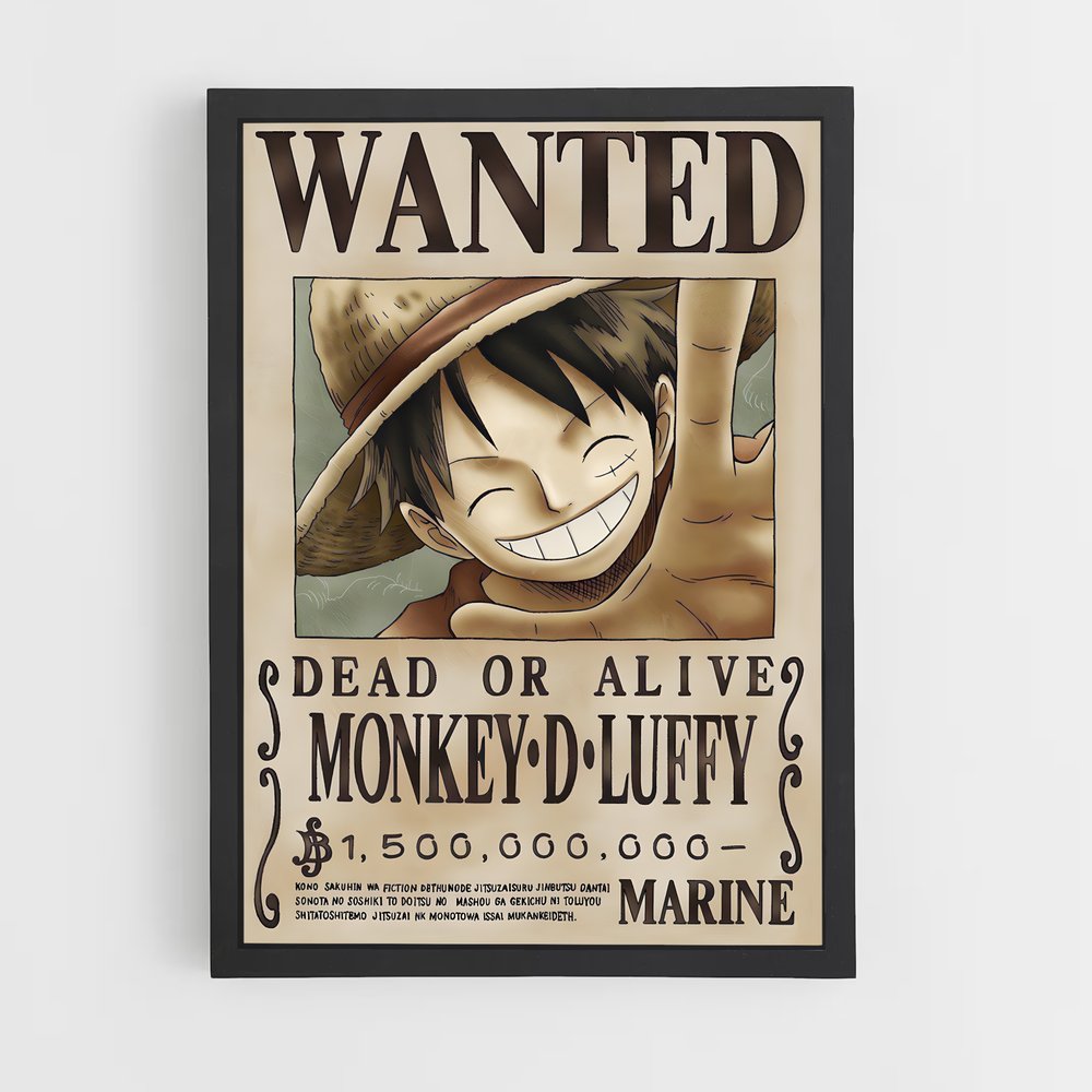 wanted-one-piece-2 cadre Noir