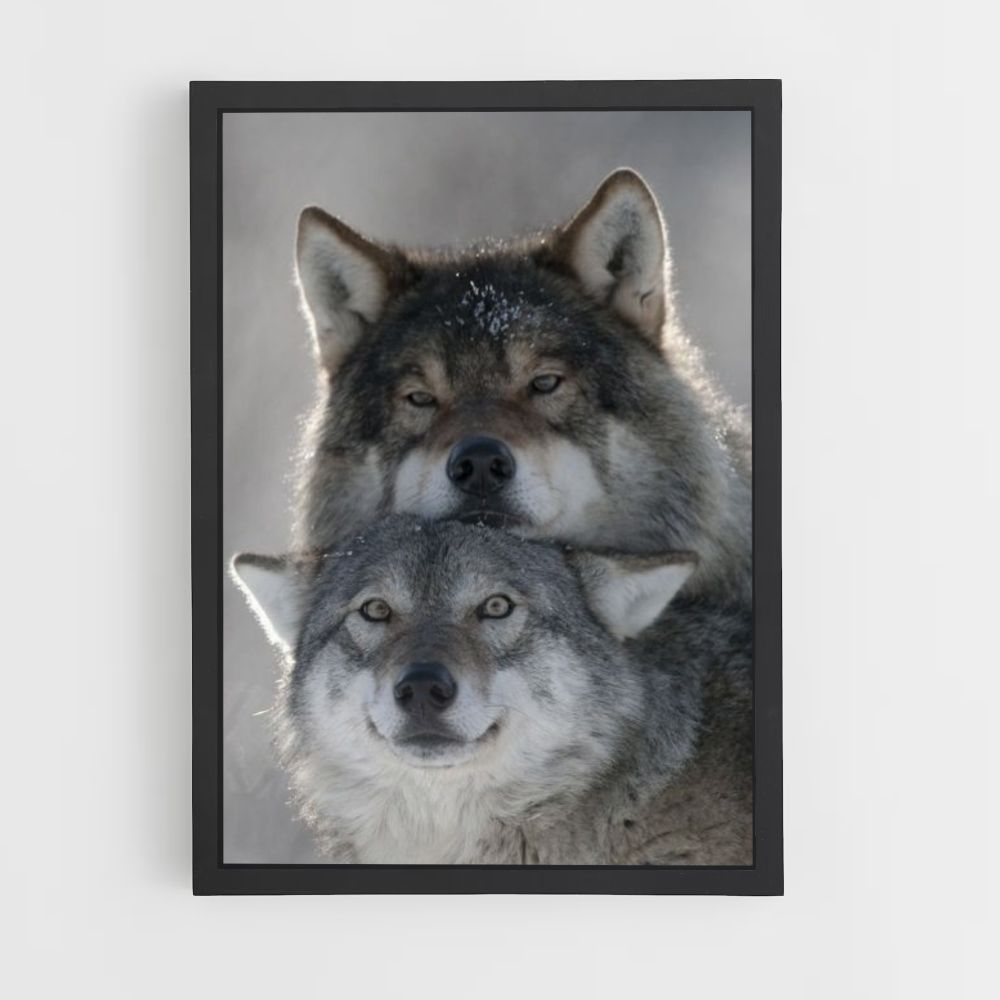 Niedliches Wolf-Poster