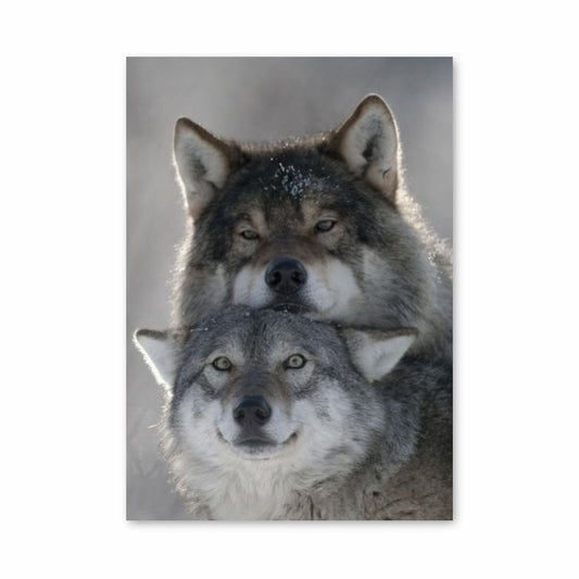 Niedliches Wolf-Poster