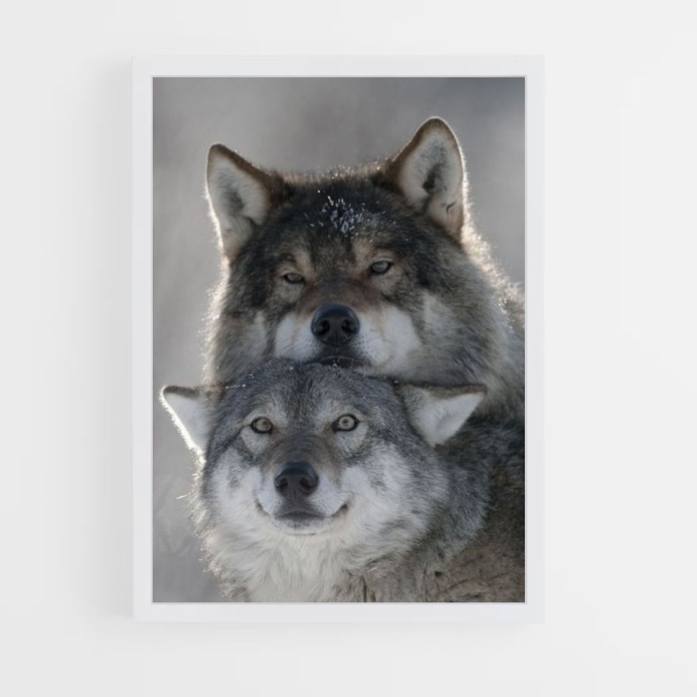 Niedliches Wolf-Poster