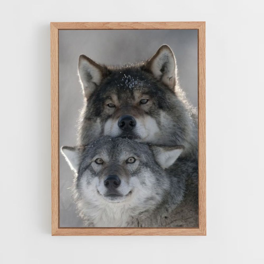 Niedliches Wolf-Poster