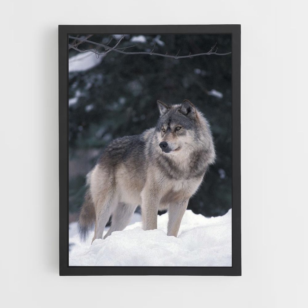 Winterwolf-Poster