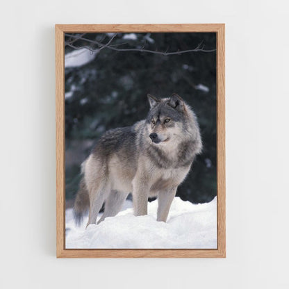 Winterwolf-Poster