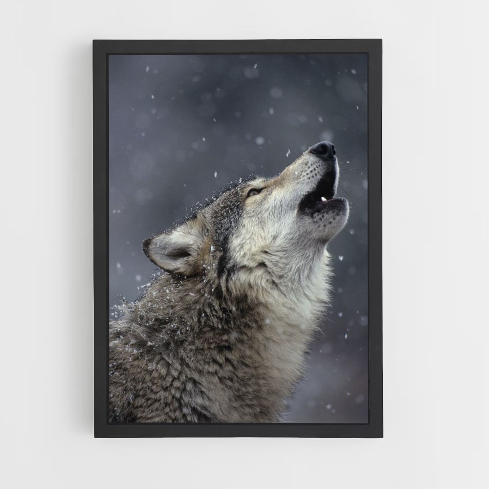 Singender Wolf Poster