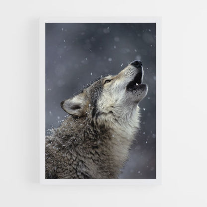 Singender Wolf Poster