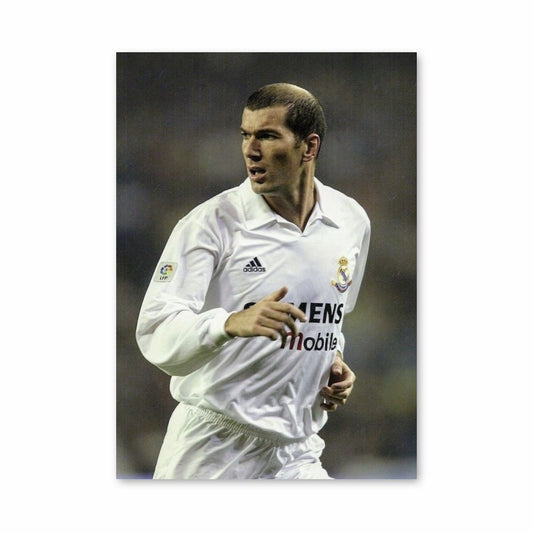 Poster Zidane White