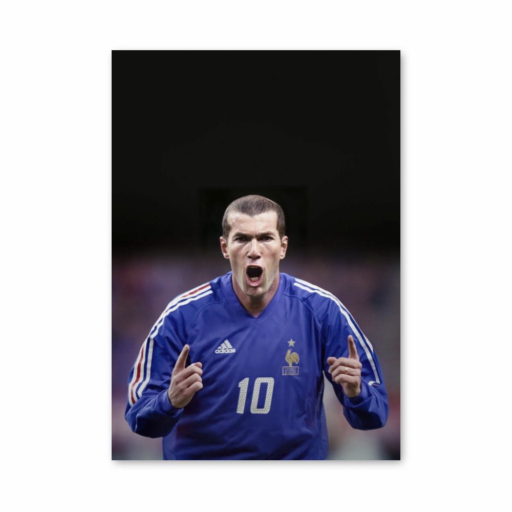 Poster Zidane-Tor